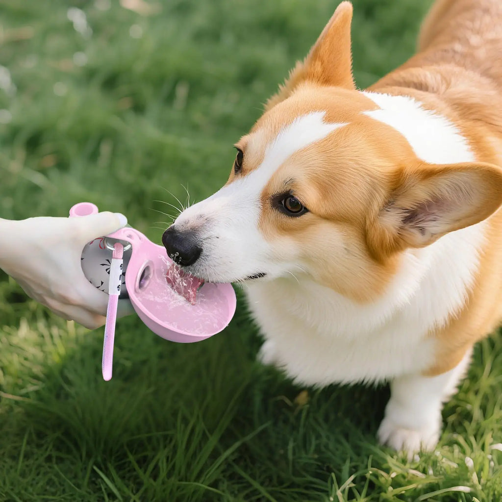 Bouteille d'eau portable 2-en-1 pour petits chiens - Bouteille d'eau de voyage étanche et compacte pour chiens - Bouteille en acier inoxydable et silicone