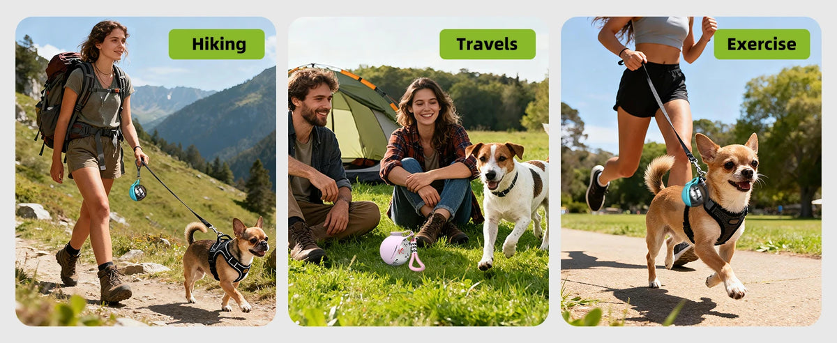 Bouteille d'eau portable 2-en-1 pour petits chiens - Bouteille d'eau de voyage étanche et compacte pour chiens - Bouteille en acier inoxydable et silicone