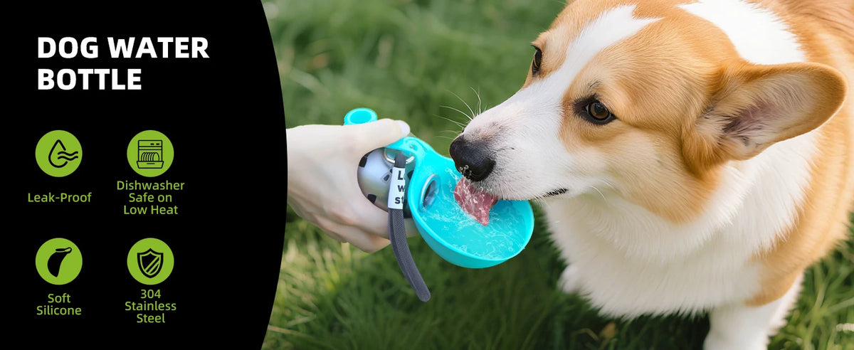 Bouteille d'eau portable 2-en-1 pour petits chiens - Bouteille d'eau de voyage étanche et compacte pour chiens - Bouteille en acier inoxydable et silicone