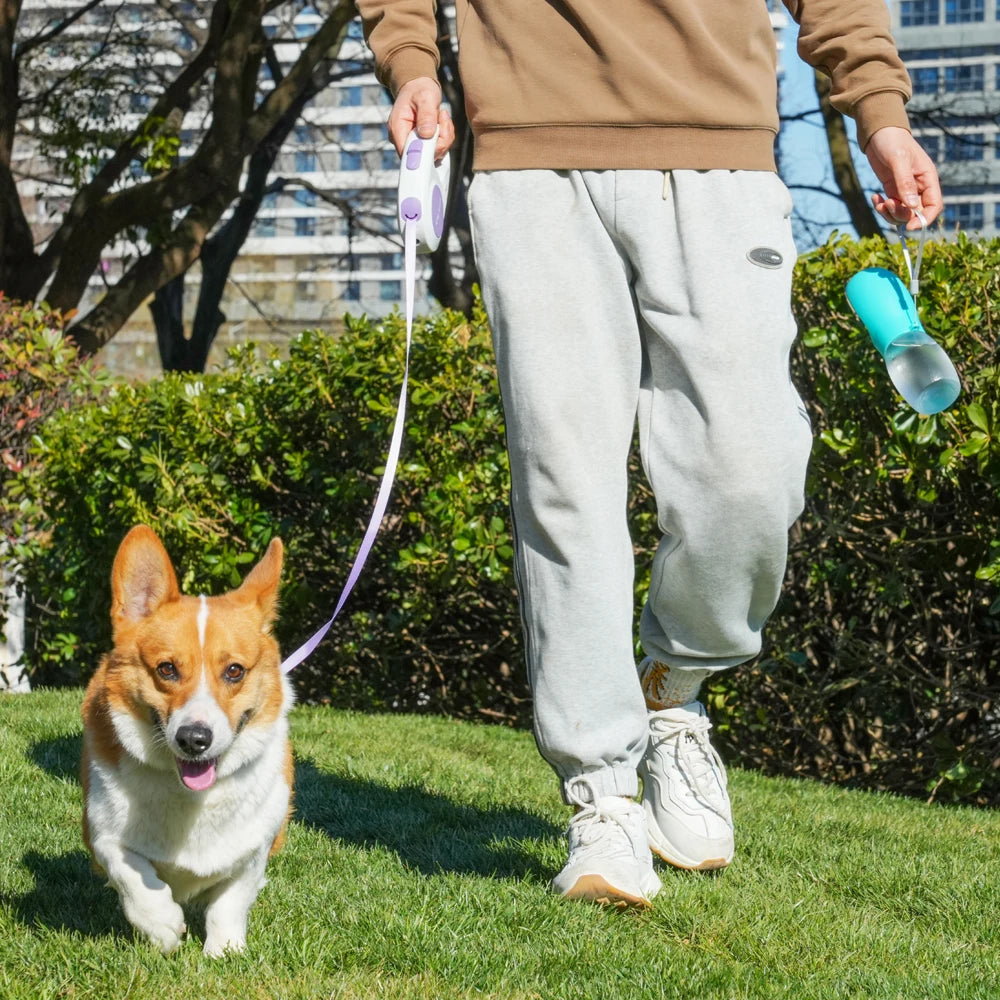 Gamelles portable pour chien et chat d’une capacité de 300ml