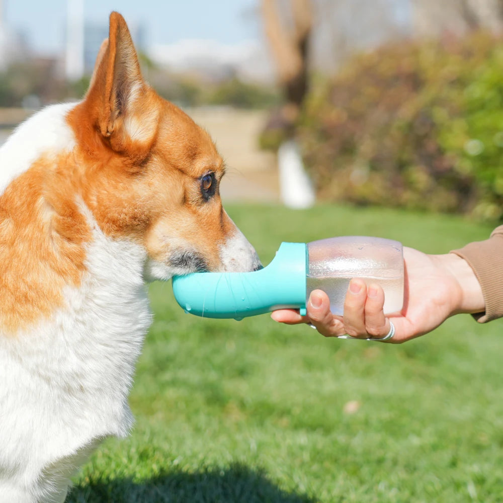 Gamelles portable pour chien et chat d’une capacité de 300ml