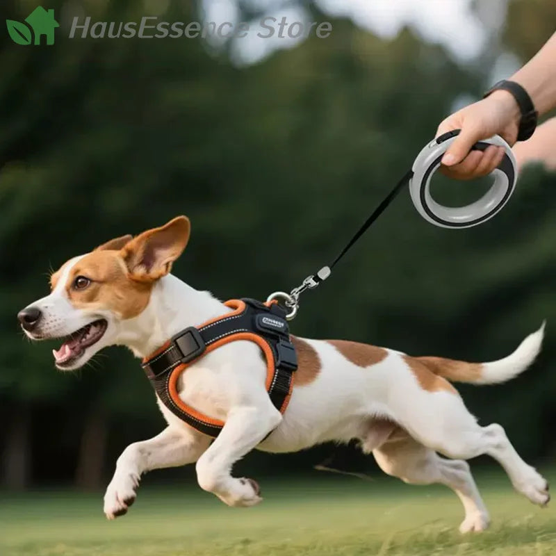 ※250cm/98.43in Automatic Retractable Dog Leash Outdoor Training Pet Leash Suitable For Small Medium Dog Durable Puppy