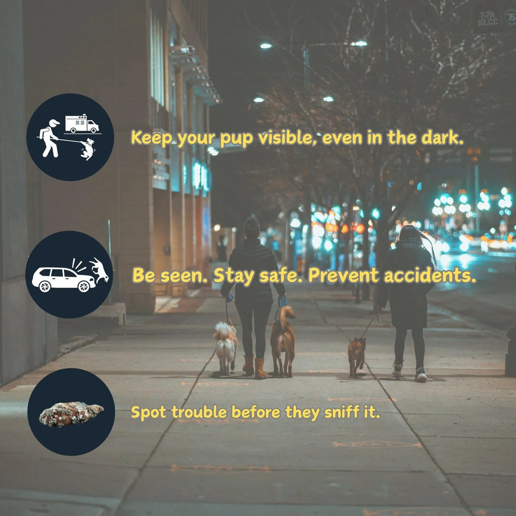 1Pcs Illuminated Retractable Dog Leash - 16ft, Adjustable, Ideal For Medium And Large Dogs, Perfect For Nighttime Walks And Runs
