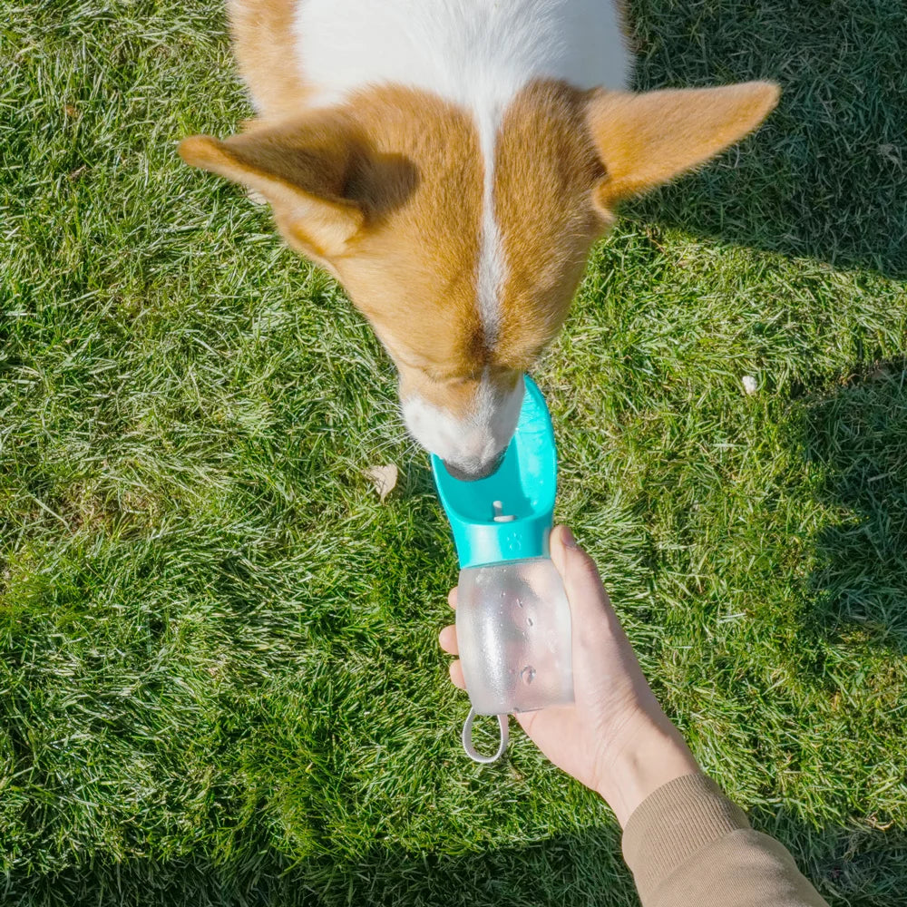 Gamelles portable pour chien et chat d’une capacité de 300ml